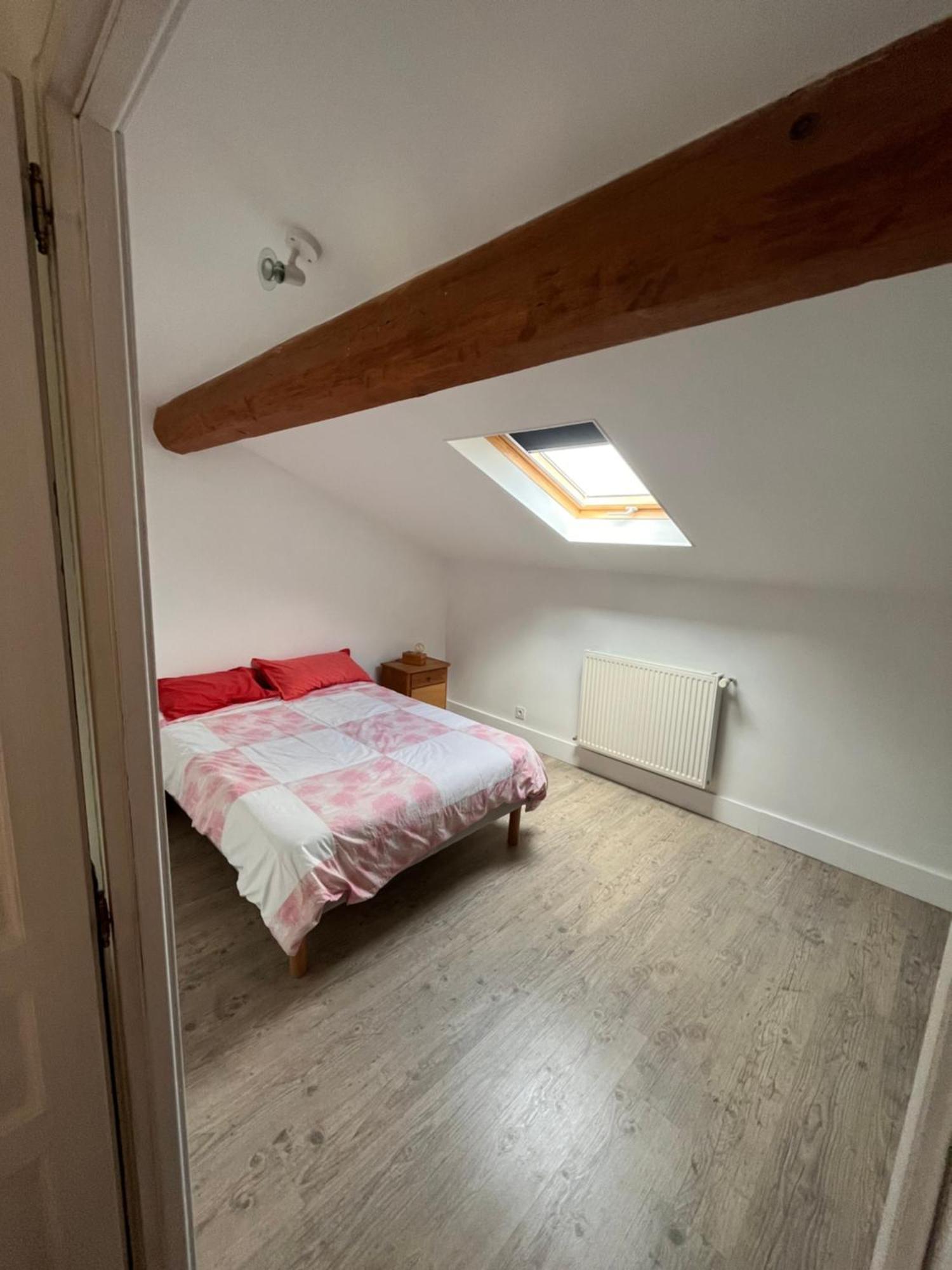 Magnifique Maison Toulousaine Toulouse Eksteriør billede